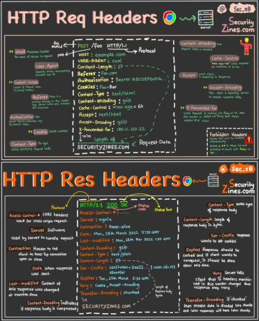 Headers HTTP (Requête et Réponse)