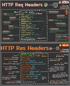 Headers HTTP (Requête et Réponse)